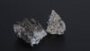 Rare Earth Elements
