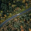 Aerial view of a winding road cutting through a forest.