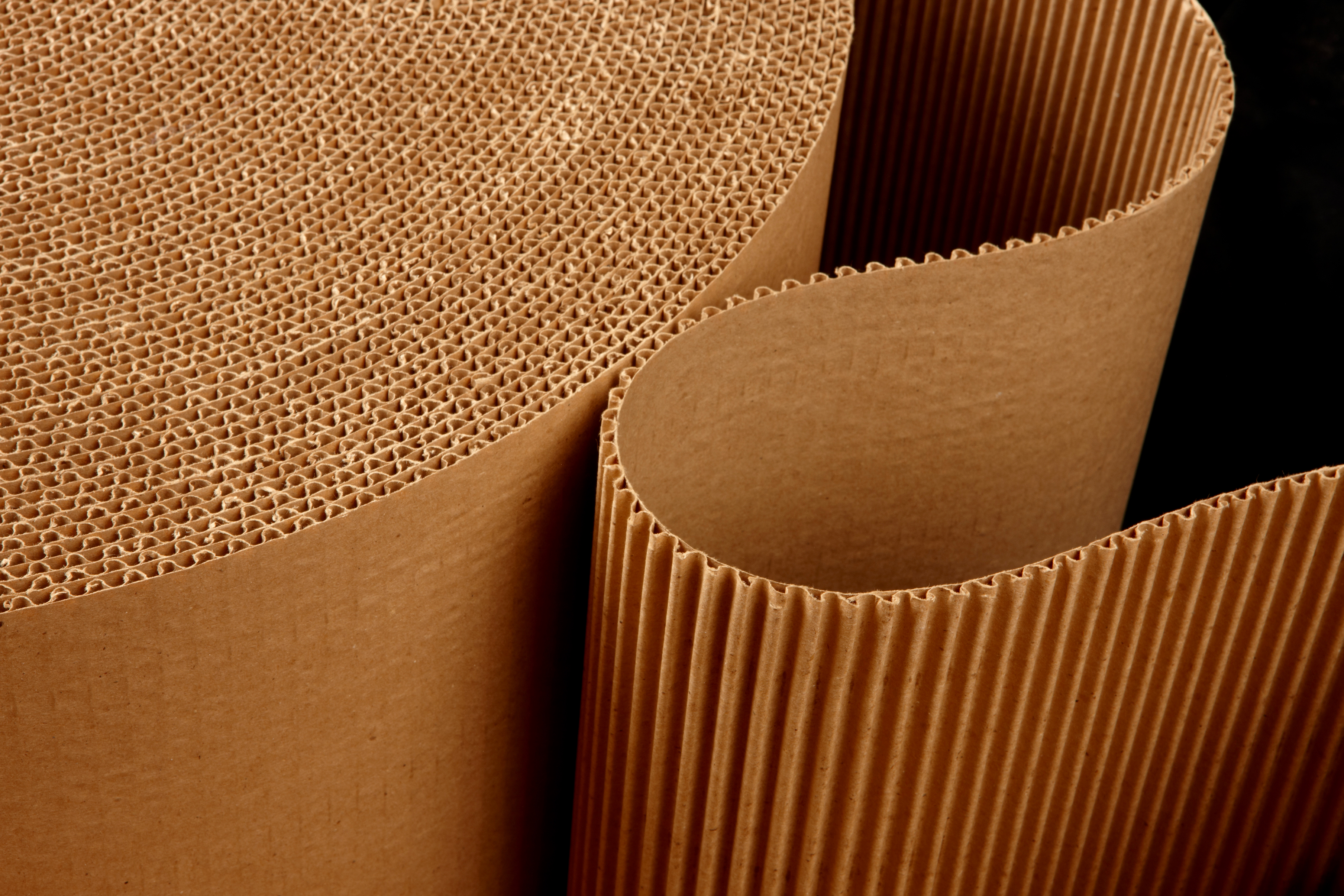 Cardboard