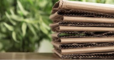 Wyróżnienie dla Allegro w konkursie Stena Circular Economy Award (SCEA)