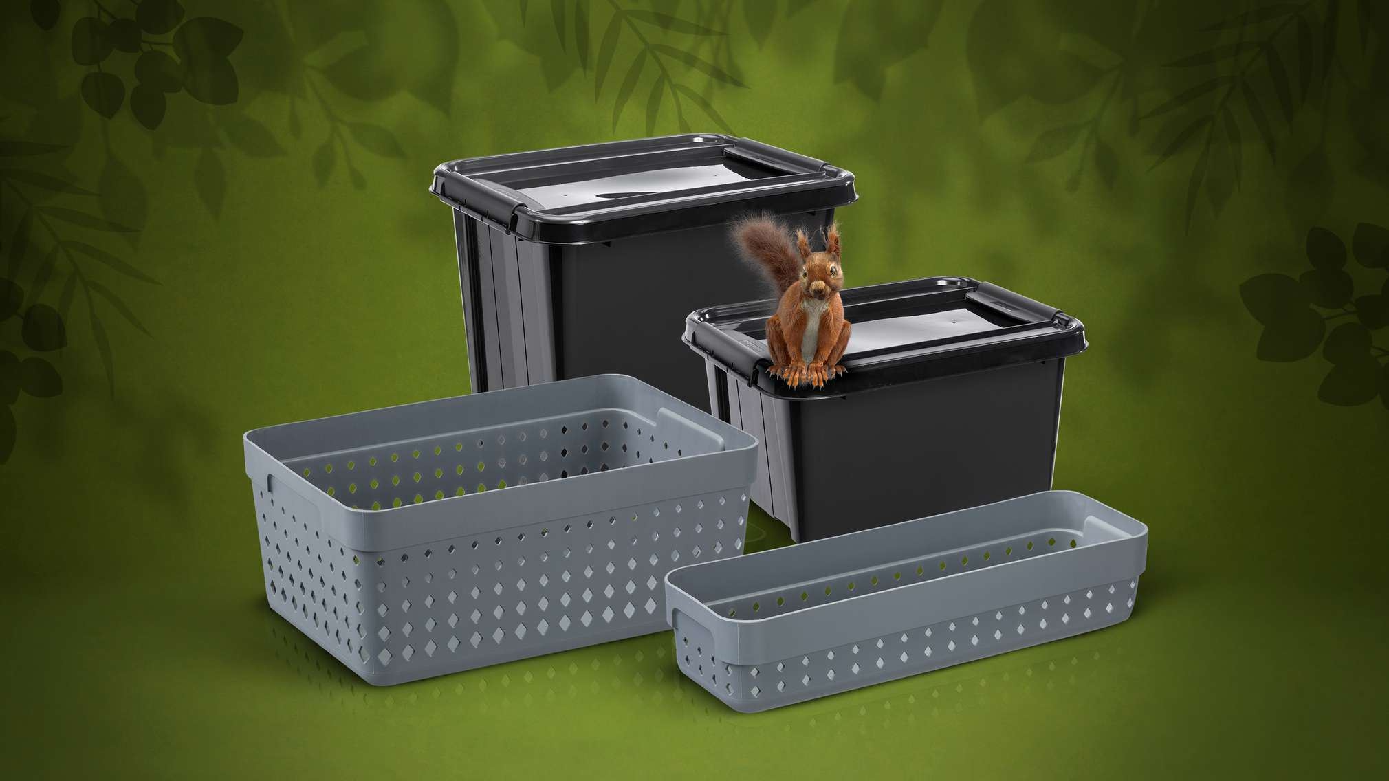 Nagroda główna SCEA dla Kaufland