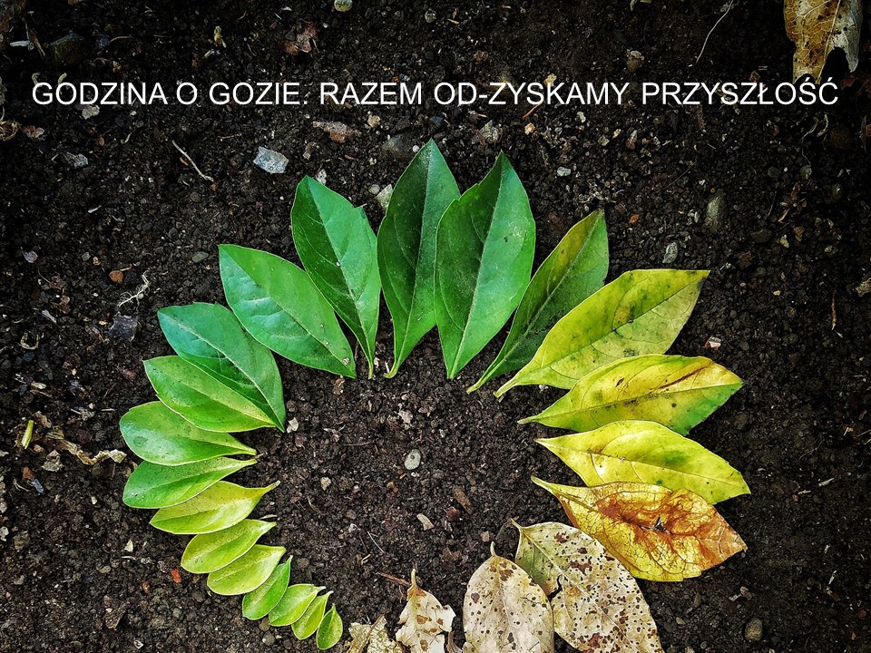 Okładka webinaru Godzina o GOZie